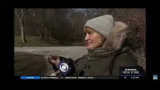 Is This Prophetic?! Bald Eagle Sightings In New York State 😍🥰