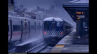 Sleep, Study or Chill | Train Sim World 4