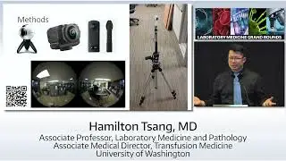 The Clinical Pathology Laboratory in 360&deg; Virtual Reality