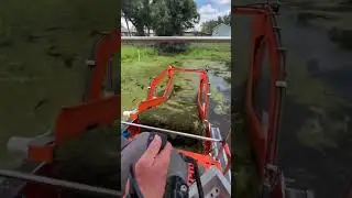 Cleaning up and algae bloom #kissimmeeflorida #lakelife #aquaticplants #aquaticweedremoval