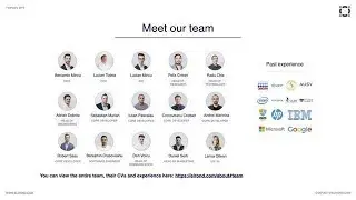 Elrond Network project team overview