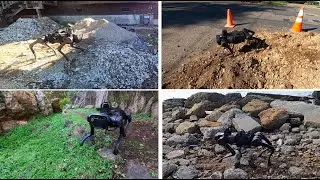 RMA: Rapid Motor Adaptation for Legged Robot