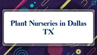 Top 10 Plant Nurseries in Dallas, TX