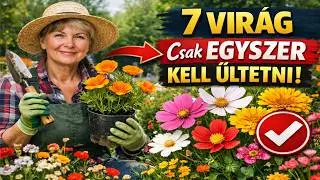 7 VIRÁG, amit elég EGYSZER elültetni! A lusta kertész titka a gyönyörű kerthez