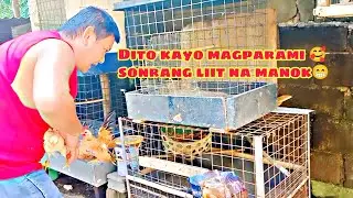 SET UP CAGE PARA SA PINAKA MALIIT KONG MANOK | SERAMA BANTAM CHICKEN 😊
