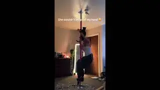 Cat Pole Dances Alongside Owner