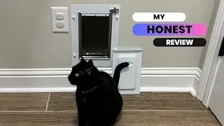 Baboni Pet Door for Wall Review 2025 &ndash; Worth It? Buy or Skip?