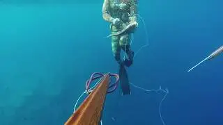 DENTEX VS TEAK SEA PAL110
