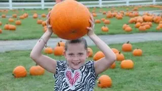 Long Island Pumpkin Picking - Take advantage of the best Pumpkin Picking farm in Long Island