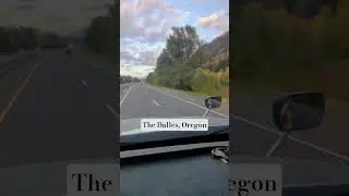 Driving through Oregon forest - #trucking #truckdriver #timelapse