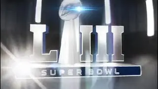 Falcons-Patriots Superbowl REMATCH Madden Sim