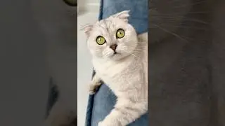 Соня! 😳🥲❗️ В ролике был использован манекен❗️