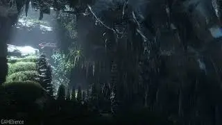 3 Hour - Horizon Zero Dawn - Sunlit Damp Cave 2 Ambience