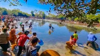 Cambodia Traditional Net Fishing In Pond At The Countryside (Part 12) #fishing #uniquefishing #fish