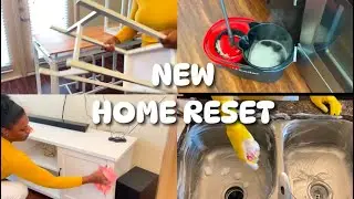 WHOLE APARTMENT CLEAN WITH ME | WEEKLY HOME RESET 