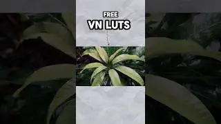 free vn luts pack | vn luts | luts pack#shortsfeed #vnluts #lut #vnvideoeditor #vn