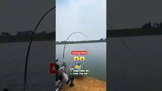 Epic Fishing Battle! Giant Fish Snaps the Rod in Half 😱🔥 #Fishing #BigCatch #shorts