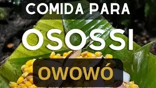 Aprenda essa comida para Osossi