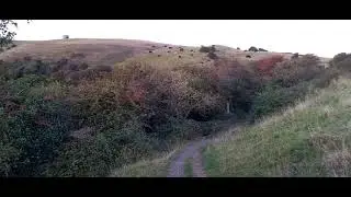 13/11/2021-Bleadon Uphill Manor WSM BS23 North Somerset HD 4k Video 📹