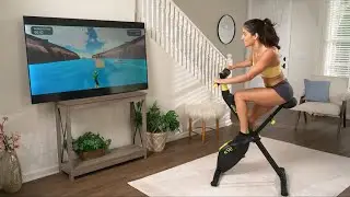 Stealth Cycle - When It's Fun, It Gets Done