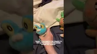 Froakie yells at chespin for making him do shopping