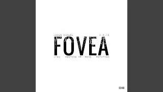 Fovea