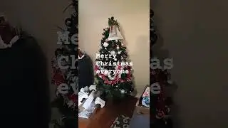 merry Christmas everyone #christmas #xmas #christmascountdown #christmastree