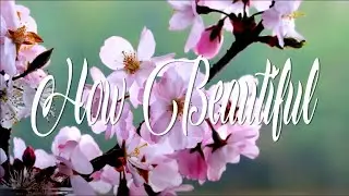 HOW BEAUTIFUL | Composed by Ann Wilson | Vocal by Vicky Adkins