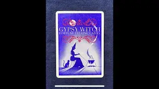 Gypsy Witch - a vintage fortune telling deck flip thru