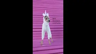 DIY Unicorn Dog Costume