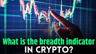 What is the breadth indicator in crypto?