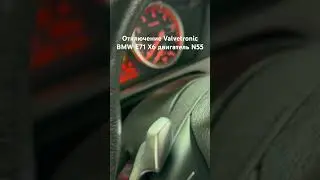 Отключение Valvetronic BMW E71 X6 двигатель N55 #bmwrepair #bmwtuning