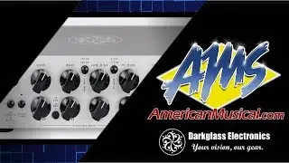 Darkglass Microtubes 500 - American Musical Supply