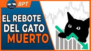 🧐👀 Dead Cat Bounce |&iquest;Qu&eacute; es el rebote del gato muerto?