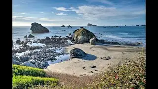 Unique Dog-Friendly Log Cabin Short Walk to Ocean | Cabins in Crescent City