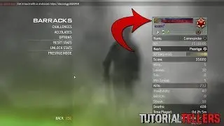 How to Get A Custom Text Title On IW4X
