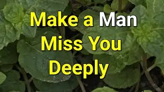 Make a Man Miss You Deeply...|Psychology Amazing Facts