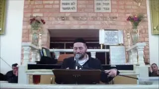 שיעור מחזק הרב אפרים שרבני - 