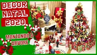 NOSSA DECORAÇÃO DE NATAL 2020 - FICOU INCRÍVEL - WILLIAM VALADARES