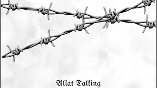 BabyWoe X Lil Blxc - Allat Talking [Official Audio] (U Kno What To Do Remix)