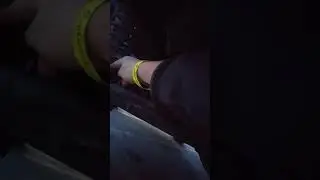 Steering stabilizer