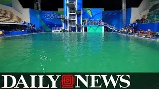 Rio Olympic Organizers Finally Give An Explanation For Pool Turning Green