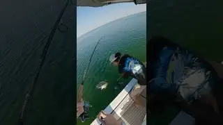 Fishing for Redfish in Choctawhatchee Bay - Destin, Florida #fishingvideo #redfish #destinflorida