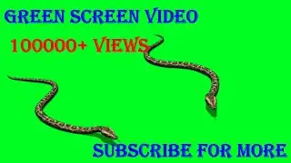 snake Special effects video green screen Video effects 绿幕素材