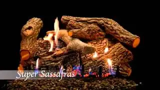 Super Sassafrass Refractory Gas Log Set by Empire Comfort Systems