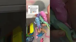 20 Axolotl Fidgets?!