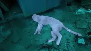 Vampire The Masquerade Bloodlines 2 Fabien talk to a cat