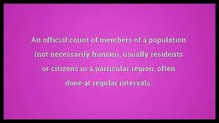 Census Meaning