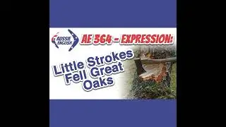 AE 364 - Expression: Little Strokes Fell Great Oaks