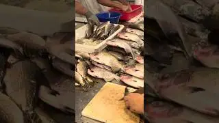 Manaus-Am - Peixes amaz&ocirc;nicos #amazon #food